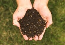 Cómo hacer compost orgánico para tu huerto en casa