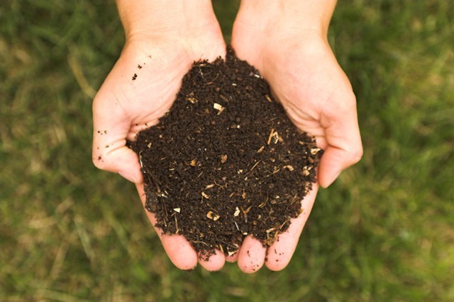 Cómo hacer compost orgánico para tu huerto en casa