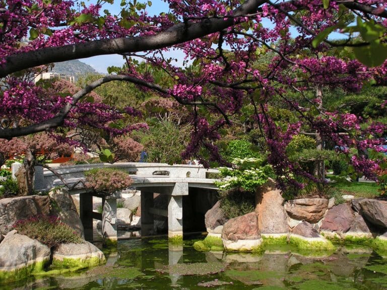 Jardines japoneses: su historia y máximos representantes