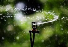 5 trucos para regar las plantas en vacaciones