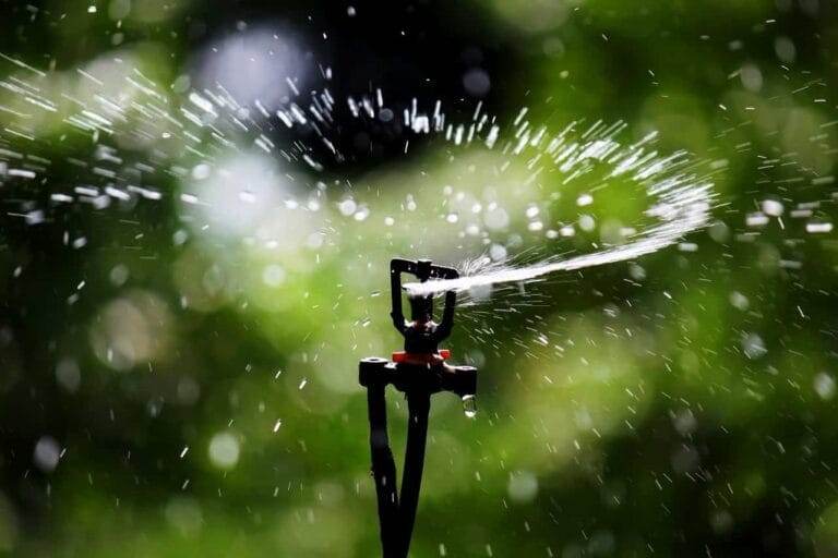 5 trucos para regar las plantas en vacaciones 5 trucos para regar las plantas en vacaciones