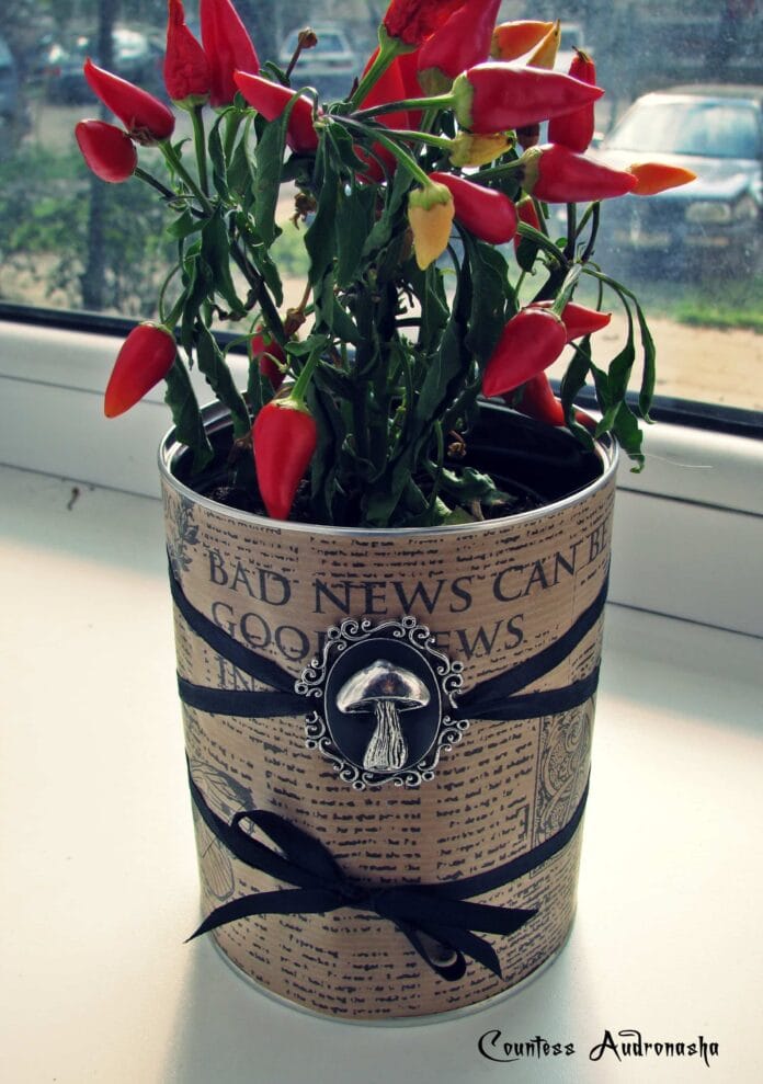 decorar las macetas maceta decorada con papel