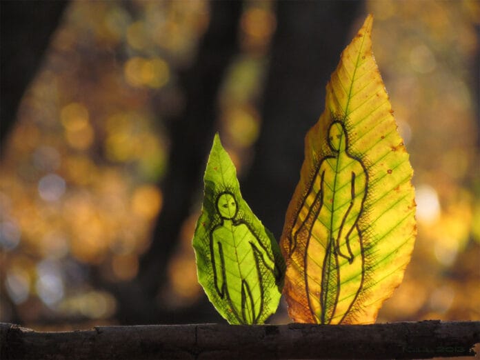 hojas de otoño pintadas