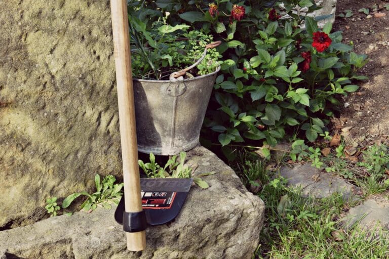 ¿Qué usos alternativos tiene una azada de Bellota? ¿Qué usos alternativos tiene una azada de Bellota?