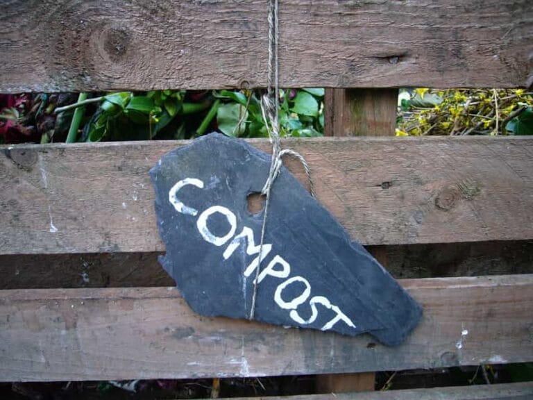 Paso a paso para fabricar un compost Paso a paso para fabricar un compost