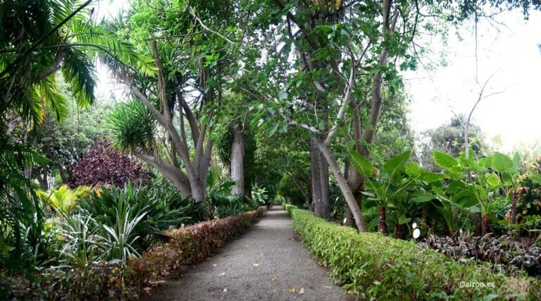 Los 10 jardines botánicos más bonitos de España Los 10 jardines botánicos más bonitos de España