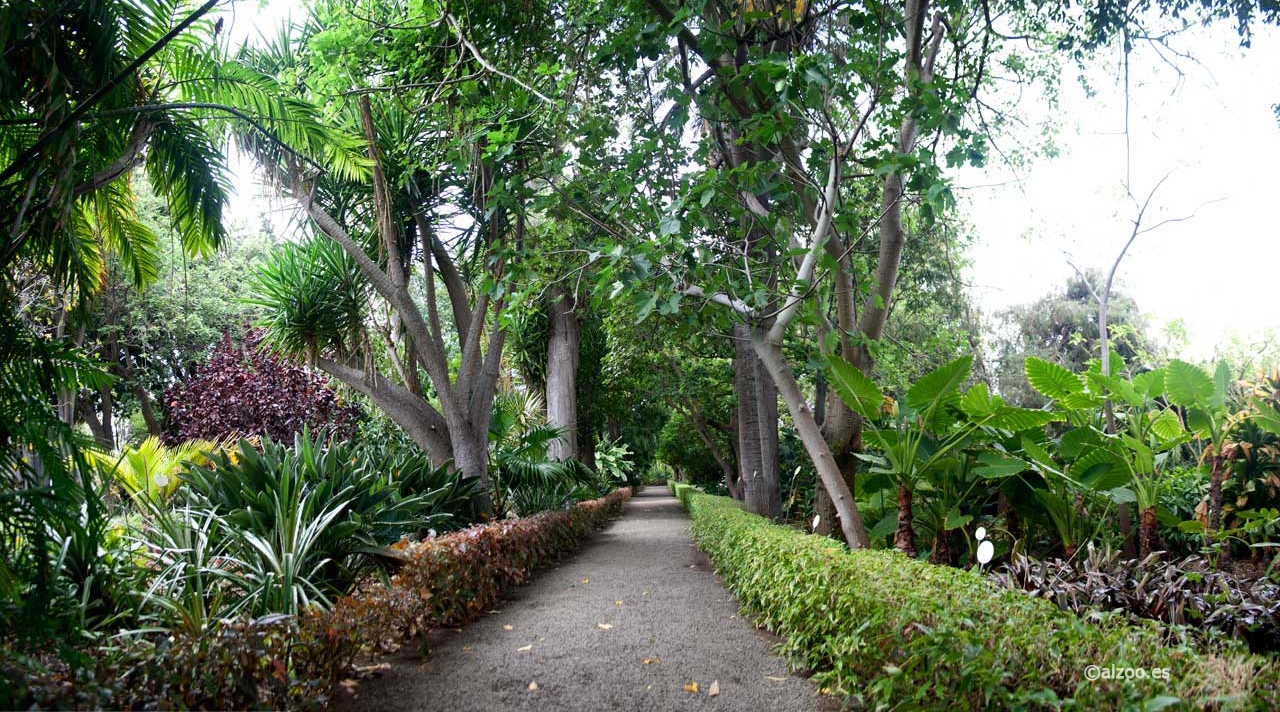 Jardines botánicos