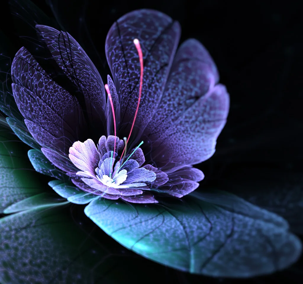 cuidados de la orquídea