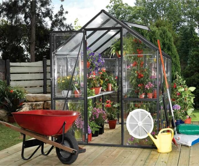 cultivo de invernadero