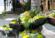 Cómo diseñar una rocalla para el jardín diseñar una rocalla