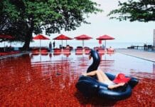 Las 10 piscinas más exóticas del mundo ¡No te las pierdas! piscinas más exóticas