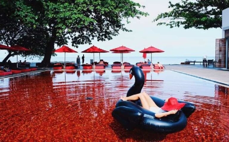 piscinas más exóticas