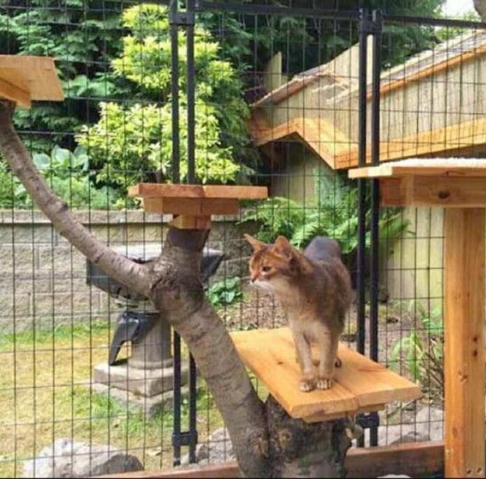 crear un catio en el jardín