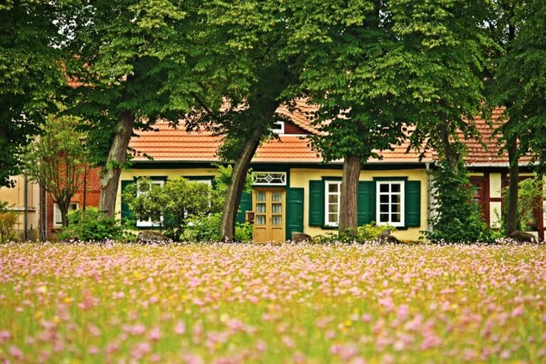 Finalizado el verano es el momento de preparar el jardín para el otoño Finalizado el verano es el momento de preparar el jardín para el otoño