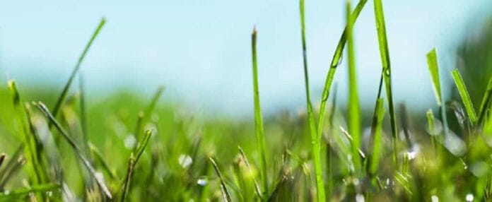 elegir el mejor estilo