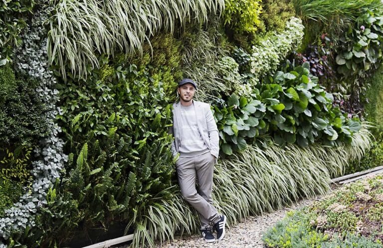 Nuevo curso de Ignacio Solano sobre la creación de jardines verticales