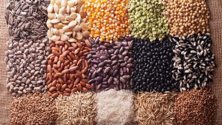 Consejos para recoger semillas de la huerta Consejos para recoger semillas de la huerta