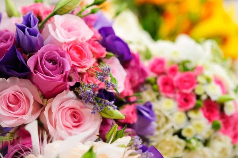 Estupendos tips para cuidar y limpiar las plantas en verano Estupendos tips para cuidar y limpiar las plantas en verano