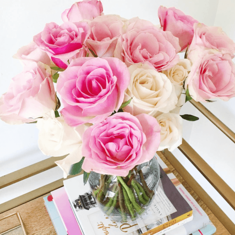 Consejos para mantener las flores frescas durante más tiempo Consejos para mantener las flores frescas durante más tiempo
