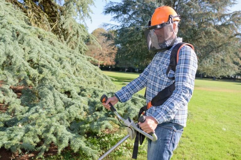 Cómo mantener un jardín en óptimas condiciones Cómo mantener un jardín en óptimas condiciones