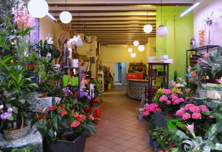 Todo lo que necesitas para abrir una floristería Todo lo que necesitas para abrir una floristería