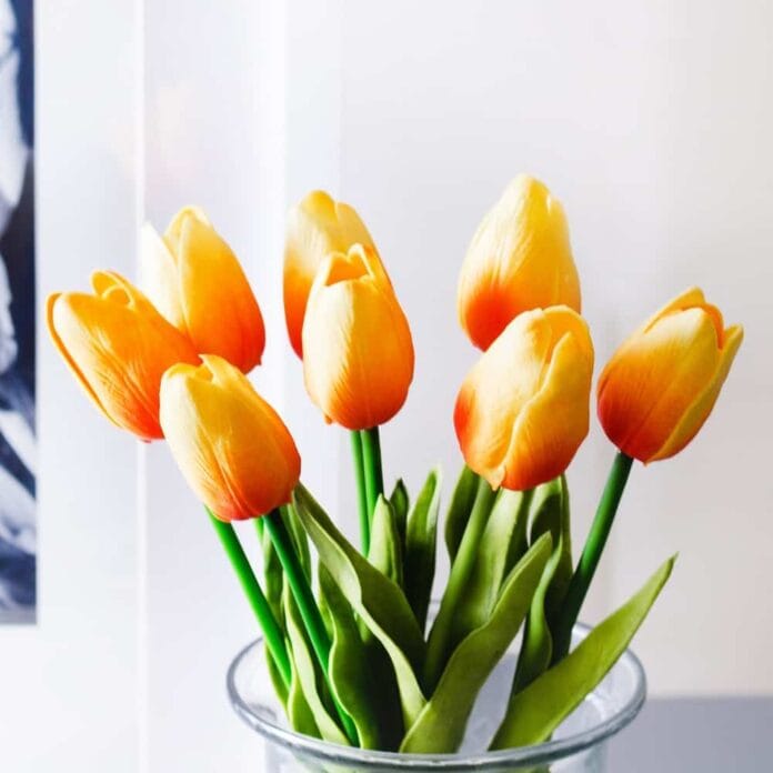 flores de color naranja