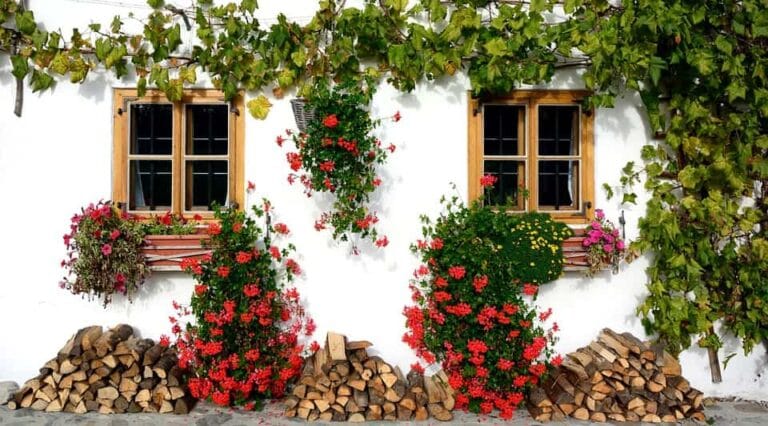 7 consejos para poner a punto el jardín en primavera