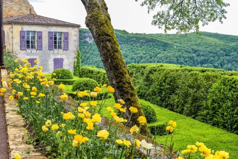 5 consejos para disfrutar mejor de tu jardín 5 consejos para disfrutar mejor de tu jardín