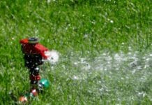 Consejos para ahorrar agua en el cuidado del jardín