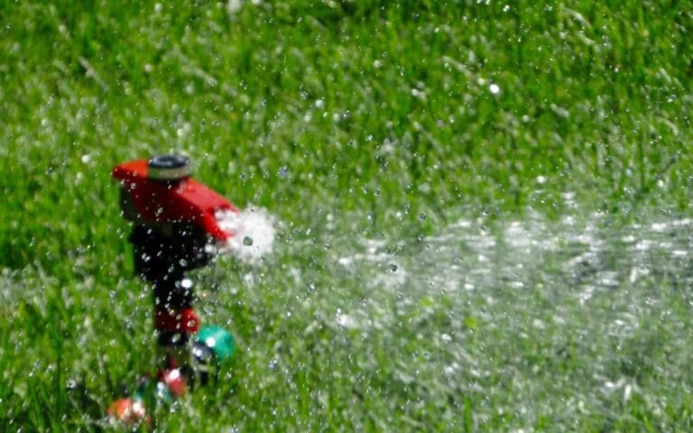 Consejos para ahorrar agua en el cuidado del jardín Consejos para ahorrar agua en el cuidado del jardín