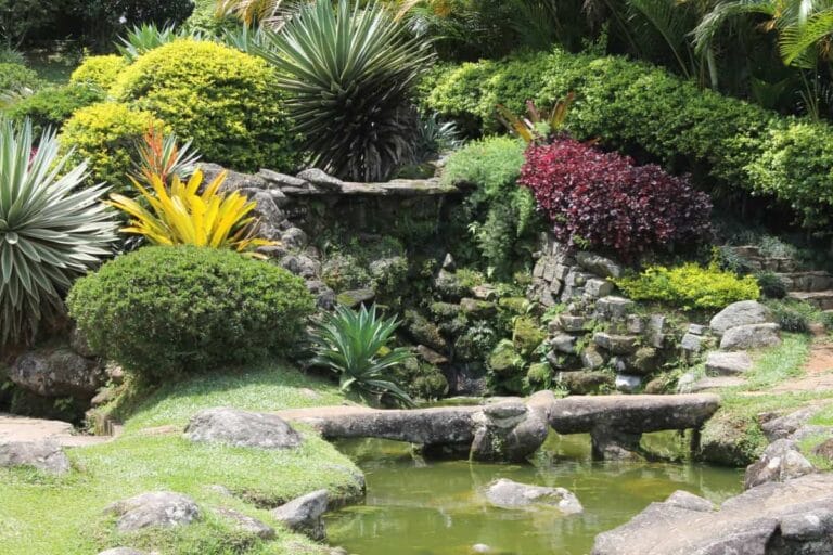 En verano, el jardín se convierte en el rey de la decoración En verano, el jardín se convierte en el rey de la decoración