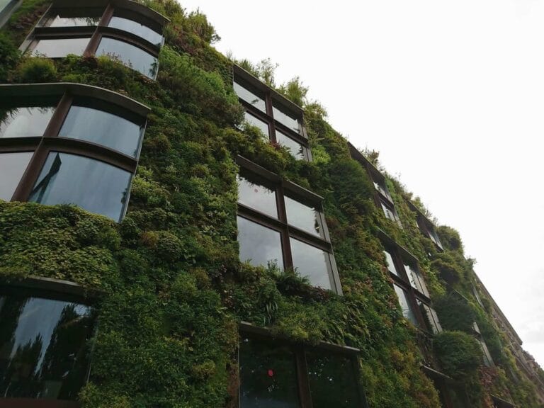 Conoce todo lo que necesitas saber sobre los jardines verticales