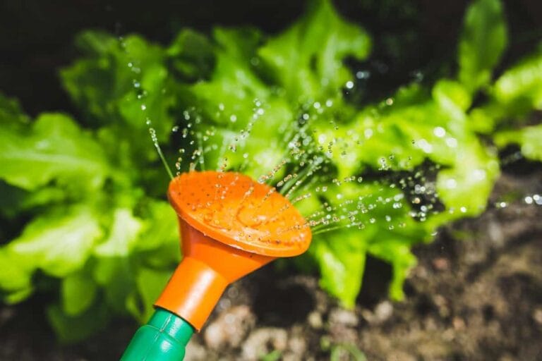 Beneficios de agua filtrada para regar Beneficios de agua filtrada para regar
