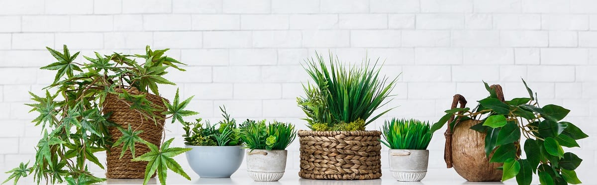 Ideas llamativas para decorar con plantas tu hogar 5 decorar con plantas