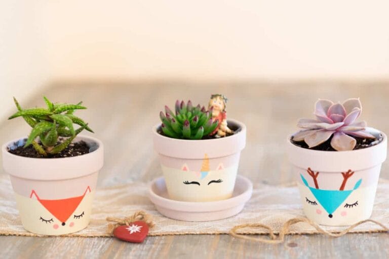 Ideas para decorar las macetas de tu hogar Ideas para decorar las macetas de tu hogar