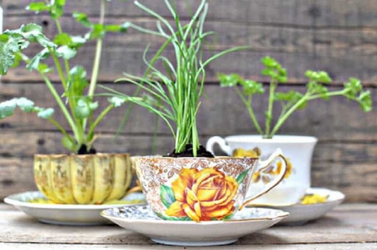 Ideas para convertir cosas en macetas o jardineras estupendas