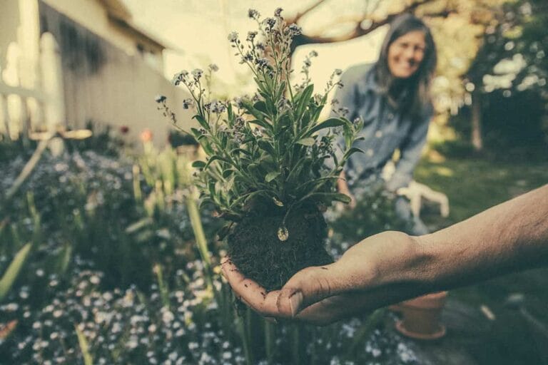 Ideas para decorar tu jardín con muy poco dinero Ideas para decorar tu jardín con muy poco dinero
