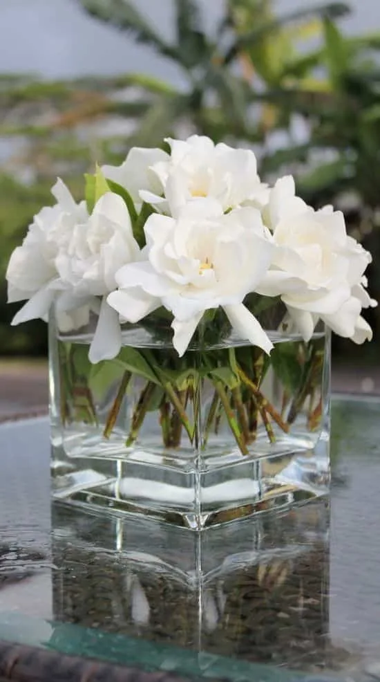 flores para regalar