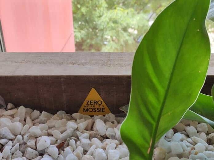 combatir contra el mosquito