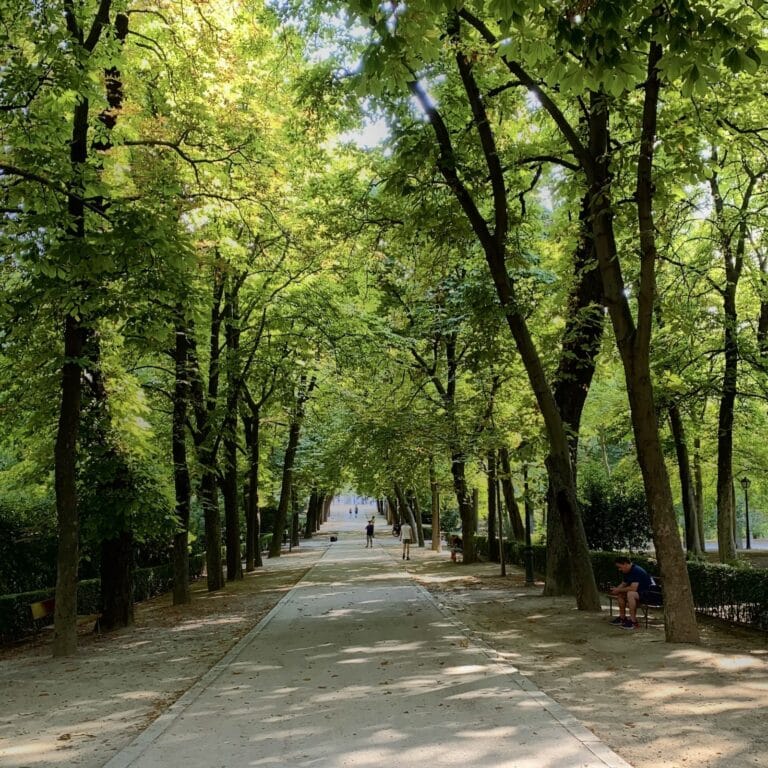 Los parques mejoran nuestra salud, pero no todas las personas pueden disfrutarlos por igual Los parques mejoran nuestra salud, pero no todas las personas pueden disfrutarlos por igual
