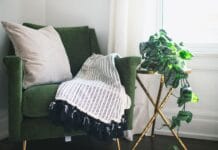 Las mejores flores de interior para decorar en invierno flores de interior para decorar