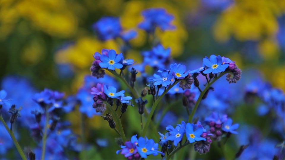 Ideas de jardines pequeños para espacios reducidos 4 jardines pequeños