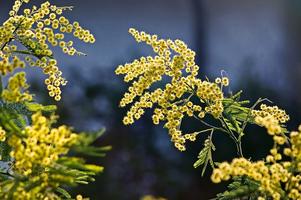 Ideas de jardines pequeños para espacios reducidos 3 jardines pequeños