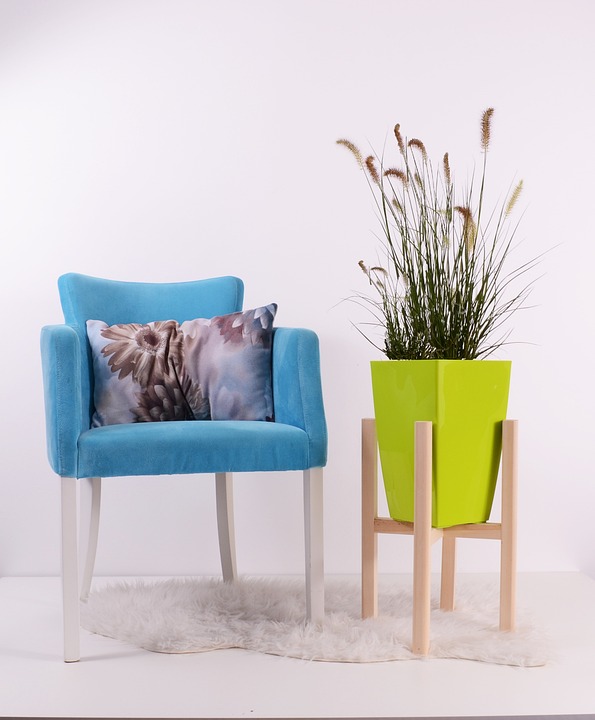 Decorar con plantas: Ideas para añadir vida a tu hogar 8 Decorar con plantas