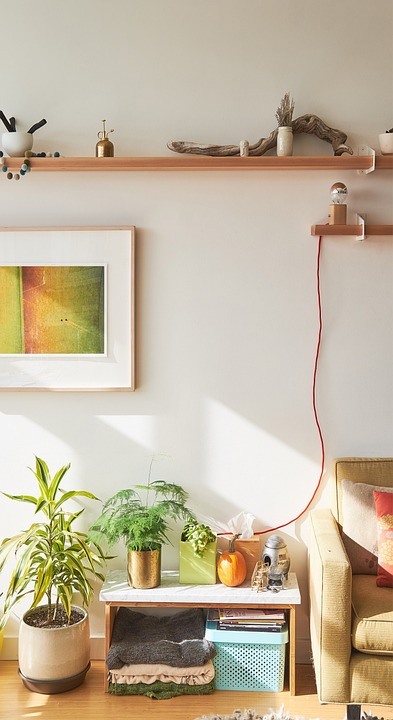 Decorar con plantas: Ideas para añadir vida a tu hogar 9 Decorar con plantas