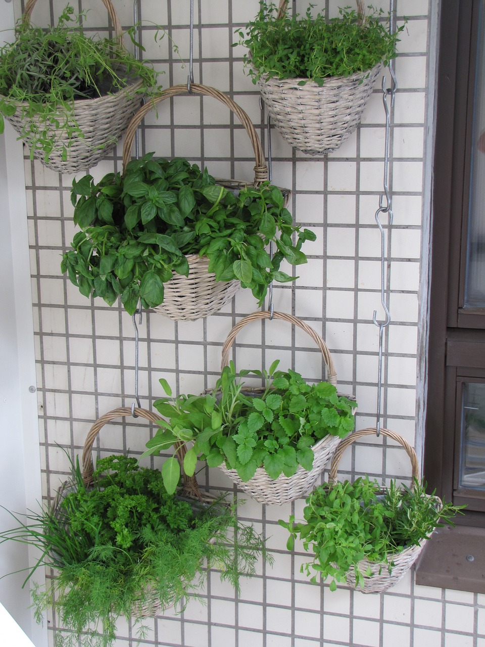 Cómo crear un jardín vertical con materiales reciclados 5 jardín vertical