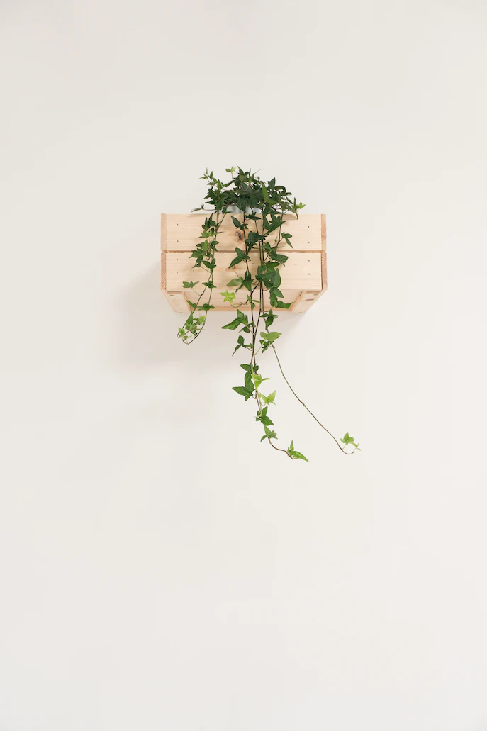 Cómo crear un jardín vertical con materiales reciclados 6 jardín vertical