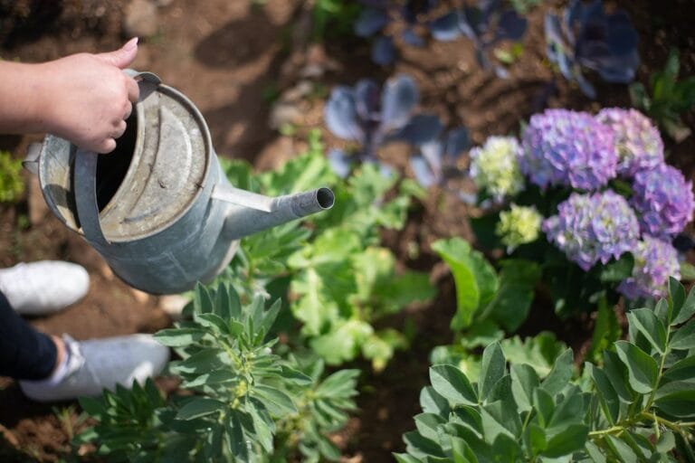 Cómo decorar tu jardín para la temporada de primavera Cómo decorar tu jardín para la temporada de primavera