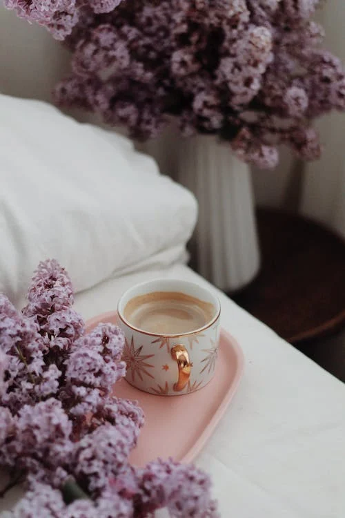 Ideas de decoración inspiradas en la naturaleza: conecta con el exterior en tu hogar 5 Ideas de decoración