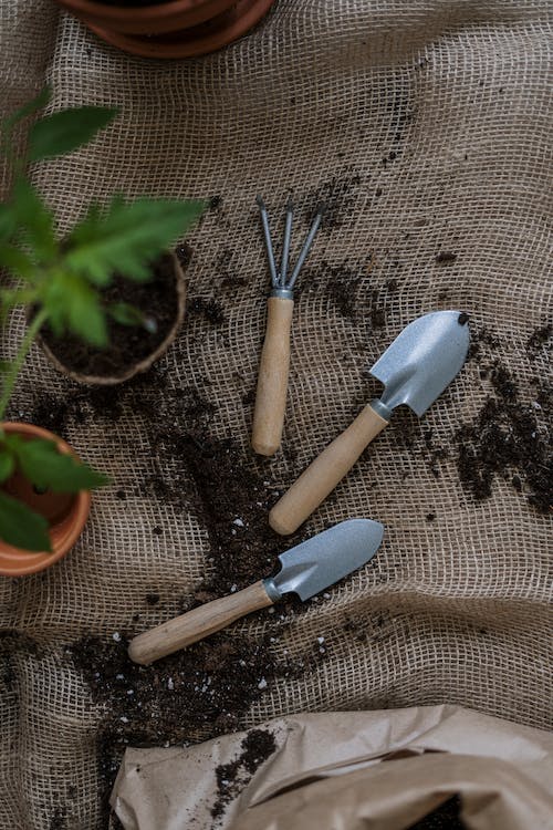 Jardinería urbana: crea oasis verdes en espacios reducidos 5 Jardinería urbana